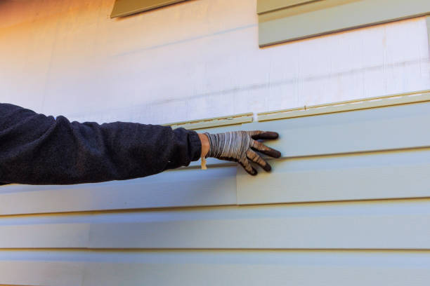 Affordable Siding Repair and Maintenance Services in Laurel Hill, NC